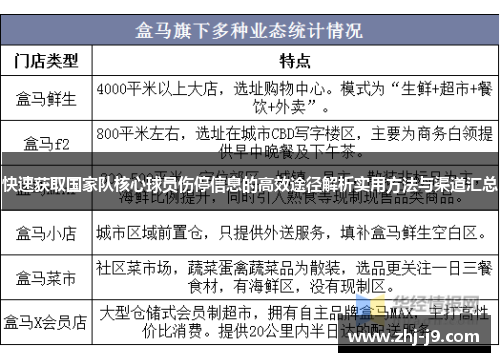 快速获取国家队核心球员伤停信息的高效途径解析实用方法与渠道汇总