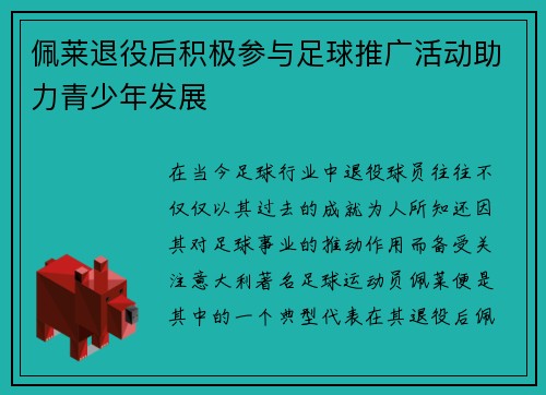 佩莱退役后积极参与足球推广活动助力青少年发展